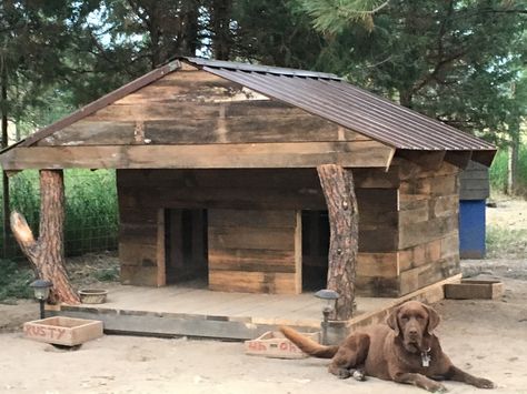 Dog house Rustic Dog House, A Frame Dog House, Xl Dog House, Homemade Dog House, Doggy House, Horse Farm Layout, Warm Dog House, Diy Dog Run, Extra Large Dog House