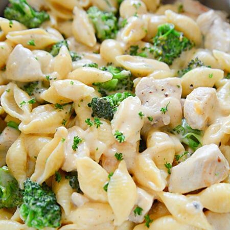 Chicken Broccoli Shells, Chicken Broccoli Alfredo, Buffalo Chicken Pasta, Broccoli Alfredo, Cheesy Chicken Broccoli, Homemade Dinner Rolls, Fresh Broccoli, Chicken Slow Cooker Recipes, Tender Chicken