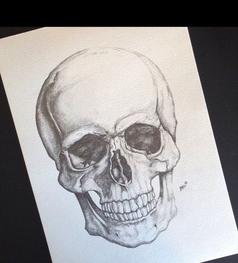 Sketches Skull, Teeth Sketch, Drawing Sketches Ideas, Skeleton Photography, Sketch Skeleton, Drawing Pencil Sketches, Fantasy Skeleton, Tattoos Skeleton, Drawing Skeleton