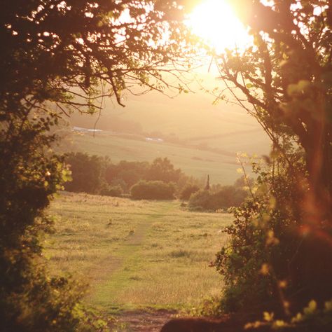 Friday | I like this place. (Ridgeway, Newport, South Wales… | Flickr Favorite Albums, Alam Yang Indah, Nature Aesthetic, Pretty Places, Country Life, Pretty Pictures, Outlander, Beautiful World, Mother Nature