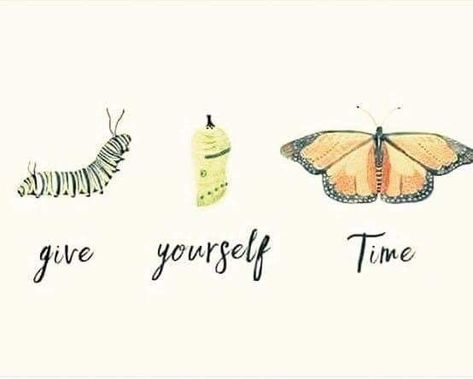 A Butterfly, Note To Self, The Words, Caterpillar, Beautiful Words, Mantra, Inspire Me, Inspirational Words, Cool Words