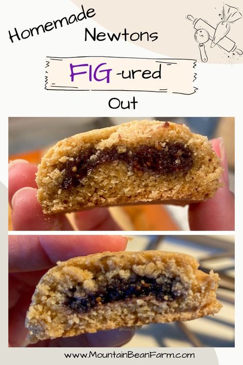 Step-by-step instructions (with pictures) to make melt-in-your-mouth fig newtons Homemade Fig Newtons, Fig Newtons, Silicone Baking Sheet, Fresh Figs, Snack Cake, Silicone Baking, Orange Zest, Cheese Cloth, Wheat Flour