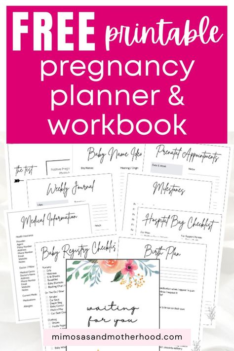 Pregnancy Journal Printable, Baby Journal Book, Pregnancy Tracking, Prenatal Appointment, Pregnancy Timeline, Baby Planner, Pregnancy Checklist, Pregnancy Planner, Pregnancy Books