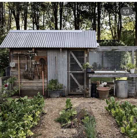 Shed Chicken Coop, Chook Pen, Cornwall Garden, Farmhouse Sheds, Vegetable Garden Planner, Earthship Home, Greenhouse Shed, Garden Storage Shed, Backyard Greenhouse