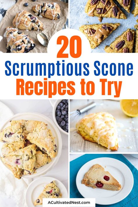 Fisher Scone Mix Recipes, Best Scone Flavors, Unique Scone Flavors, Simple Scones All Recipes, Easiest Scone Recipe, Quick And Easy Scones 12 Tomatoes, Cherry Scones Recipe, Perfect Scones, Perfect Scones Recipe