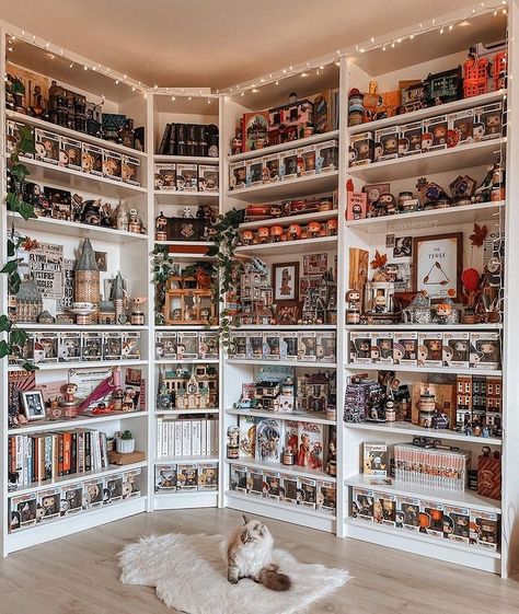 Big white shelf with a big Harry Potter collection. Everything is well organized and aesthetic. There is a white fluffy cat on a white carpet. There are funko pops on the shelf, there are books and decoration. Funko Bookshelf, Harry Potter Dorm Room, Book And Bed, Harry Potter Display, Lego Display Ideas, Funko Pop Display, Nerd Room, Harry Potter Room Decor, Bookshelf Inspiration