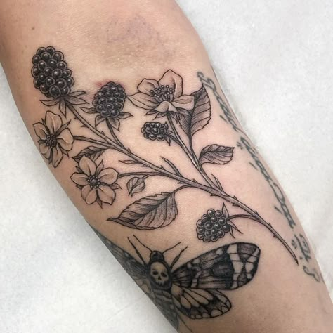 Blackberry Sprig Tattoo, Berry Tattoo Black And White, Blackberry Tattoo Sleeve, Blackberry Shoulder Tattoo, Black Berries Tattoo, Wild Berry Tattoo, Blackberry Bramble Tattoo, Berry Branch Tattoo, Raspberry Branch Tattoo