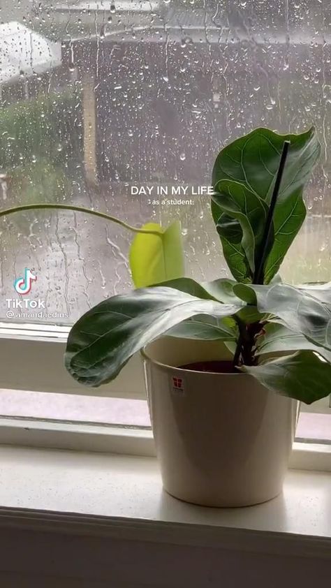 Rainy Day Vlog Tiktok, Idea For Vlogging, Lifestyle Vlog Aesthetic, How To Make A Vlog Video, Tiktok Vlog Aesthetic, Tiktok Lifestyle Video Ideas, Programming Aesthetic Girl, Tiktok Ideas Aesthetic, Aesthetic Vlog Ideas