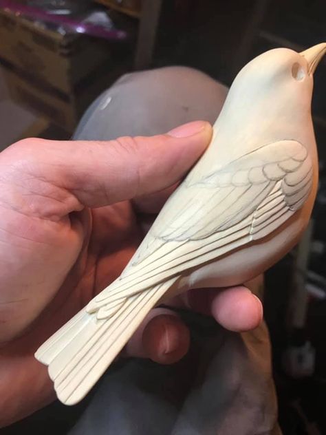 Woodworking Gadgets, Carved Birds, Wood Carving For Beginners, Wooden Sculptures, Song Birds, Wooden Toys Plans, Bird Carving, Animal Sculpture, Crafts For Boys