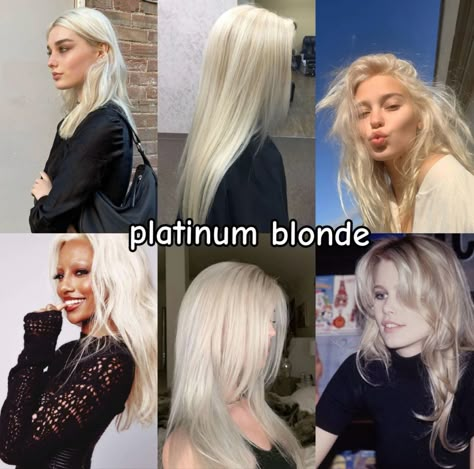 Pure Diamond Blonde Hair, Blond Shades, Hair Captions, Different Shades Of Blonde, Blonde Hair Goals, Blonde Hair Transformations, Hair Tint, Brunette Hair With Highlights, Platinum Hair