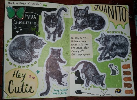 RIP my cat :( Cat Journal Ideas, Scrapbook Ideas Cats, Cat Scrapbook Pages, Cat Journal Page, Notebook Collage, Cat Scrapbook, Scrapbook Inspo, Pet Scrapbook, My Cat