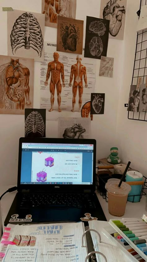 Medicine Room Decor, Human Anatomy Aesthetic, Anatomy And Physiology Aesthetic, Medicine Collage, Anatomy Collage, Medical Collage, Anatomy Aesthetic, Medical Quotes, Medical School Life