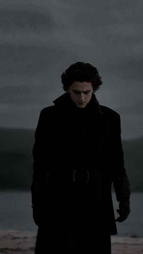 Timothee Chalamet Dark Aesthetic, Regulus Black Wallpaper, Regulus Black Aesthetic, Regulus Acturus Black, Shelf Light, Ancient Houses, Paul Atreides, Slytherin Aesthetic, Regulus Black