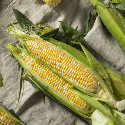 Cooking Sweet Corn, Corn In The Oven, Oven Roasted Corn, Cook Corn, Boiled Corn, Spicy Corn, How To Cook Corn, Peaches And Cream, Roasted Corn