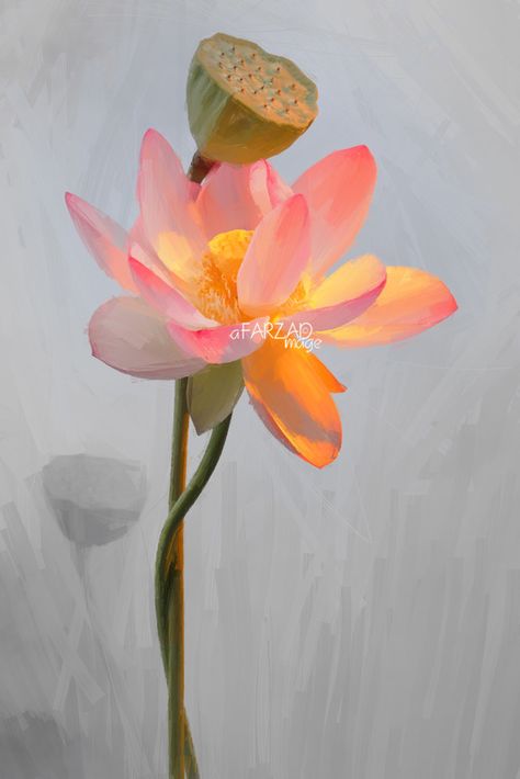 Lotus Flower Paintings / Photographic images using Akvis Oil Paint Filter | Flickr - Photo Sharing! Single Flower Painting, Lotus Flower Paintings, Flower Painting Images, Lotus Flower Images, Water Lilies Art, Lotus Flower Painting, Paint Filter, Lotus Flower Art, Lotus Painting