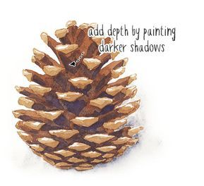 How To Draw A Pinecone Step By Step, Painting Pine Cones, Pinecone Watercolor, Watercolor Pinecone, Pine Cone Drawing, Pineapple Drawing, Doodle Watercolor, Beginner Watercolor, Herbs Illustration