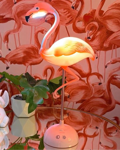 Enjoy a FREE set of Flamingo String Lights with every purchase of our Flamingo Touch Desk Lamp! 🦩✨ Claim Yours Now - Product tagged in photo and website link in bio! Touch Desk, Flamingo Diy, Flamingo Lamp, Calm Night, Festival Themed Party, Coastal Room, Flamingo Decor, Gift Catalog, Clever Gift