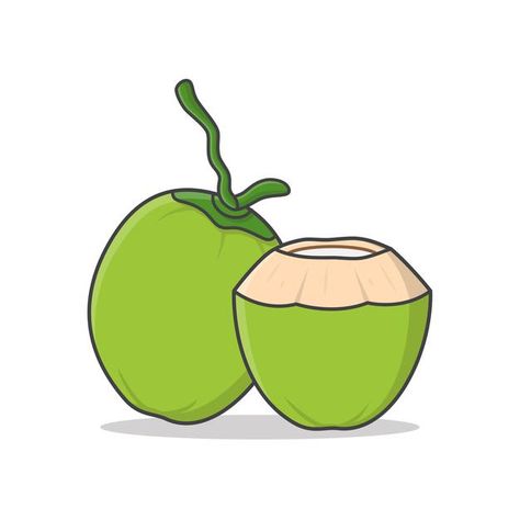 Coconut Cartoon Drawing, Coconut Cartoon, Coconut Drawing, Coconut Illustration, Coconut Images, Coconut Vector, Drinking Coconut, Cute Cartoon Food, Green Coconut