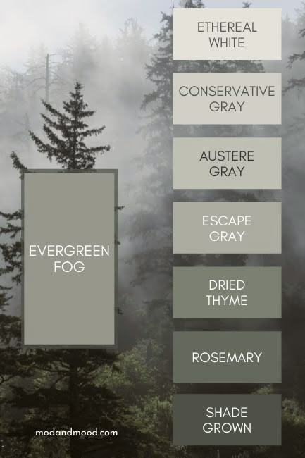 Sherwin Williams Evergreen Fog, Foto Scale, Desain Ux, Evergreen Fog, 2022 Color Of The Year, Brown Roof, House Color Palettes, Pintura Exterior, Casa Exterior