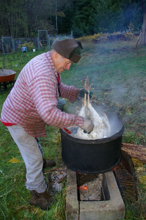 Graphic tutorial of slaughtering a turkey. If you are not seriously interested in learning about turkey butchering, seeing the process documented in photos, then don't read or look any further... Building A Fire, Raising Turkeys, Turkey Farm, Turkey History, Graphic Photo, Photo Documentary, Future Farms, Turkey Meat, Turkey Hunting