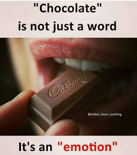 Chocolate Love Quotes, Chocolate Lovers Quotes, Girly Facts, Chocolate Quotes, Interesting Facts About World, Besties Quotes, I Love Chocolate, Crazy Girl Quotes, Internet Memes