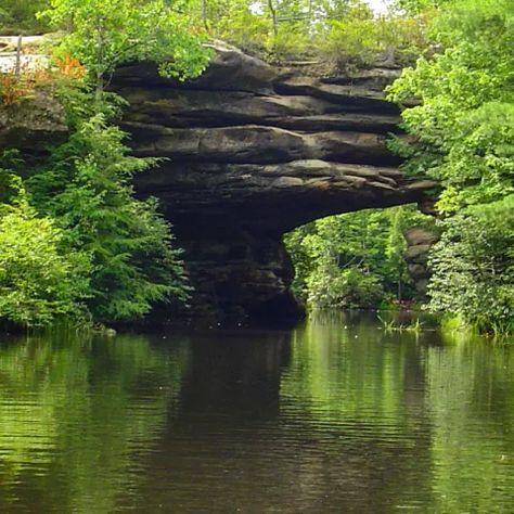 12 whimsical places to visit in Tennessee - Tennessee Vacation Beautiful Places In Tennessee, Unique Places To Stay In Tennessee, Tennessee Places To Visit, Most Beautiful Places In Tennessee, Day Trips From Knoxville Tn, Reelfoot Lake Tennessee, Best Places To Visit In Tennessee, Tennessee Mountain Home, Ocoee Tennessee