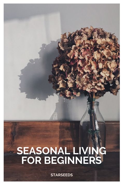 Living Seasonally, Mother Culture, Cottagecore Life, In Touch With Nature, Secret Identity, Creative Thoughts, Seasonal Living, Mental Health And Wellbeing, Mind And Soul