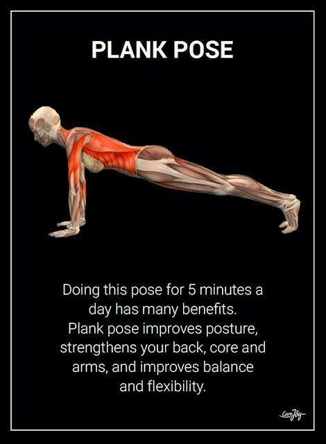 Yoga Anatomy, Plank Pose, Health And Fitness Articles, Yoga Exercises, Easy Yoga Workouts, Acro Yoga, Fitness Articles, Stretching Exercises, Yoga Health