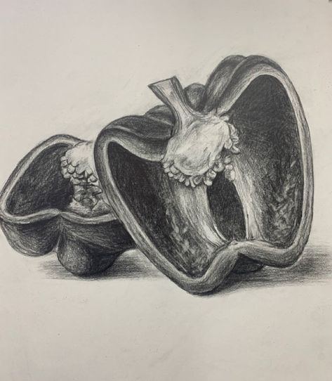 Sensual Intricate Soothing Lyrical Crisp Timeless Captivating Serene Whispered Balanced Delicate Poignant Value Art Drawing, How To Draw Fruit, Draw Sea Animals, Easy Still Life Drawing, Draw Sea, Still Life Sketch, Fruit Art Drawings, Dotted Drawings, Fruits Drawing