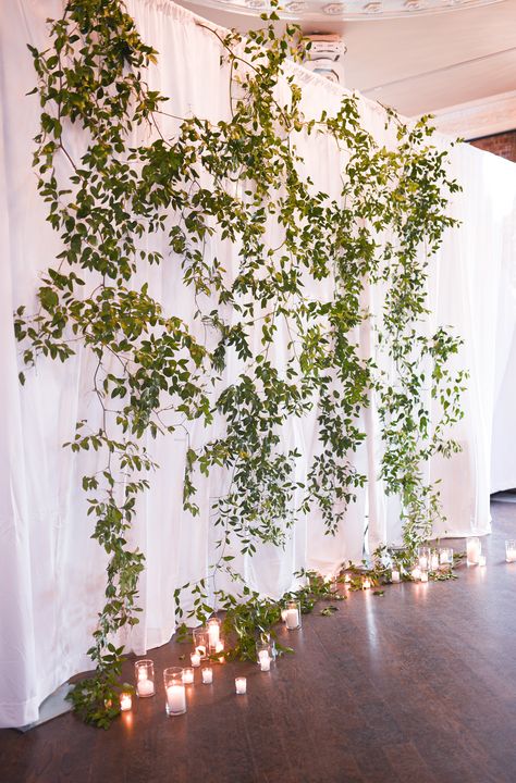 Greenery Climbing Wall Wedding, Hanging Greenery Backdrop, Greenery Ceiling Decor, Wedding Backdrop With Lights, Green Wall Wedding Backdrop, Flower Vine Decor, Hanging Greenery Wedding, Backdrop With Lights, Foliage Wedding Decor