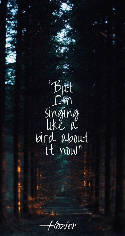 Shrike Hozier Aesthetic, Hozier Lyrics Wallpaper Work Song, Shrike Hozier Lyrics, Shrike Hozier, Hozier Lyrics Wallpaper, Hozier Wallpaper Lyrics, Meh Wallpaper, Hozier Wallpaper, Talk Hozier