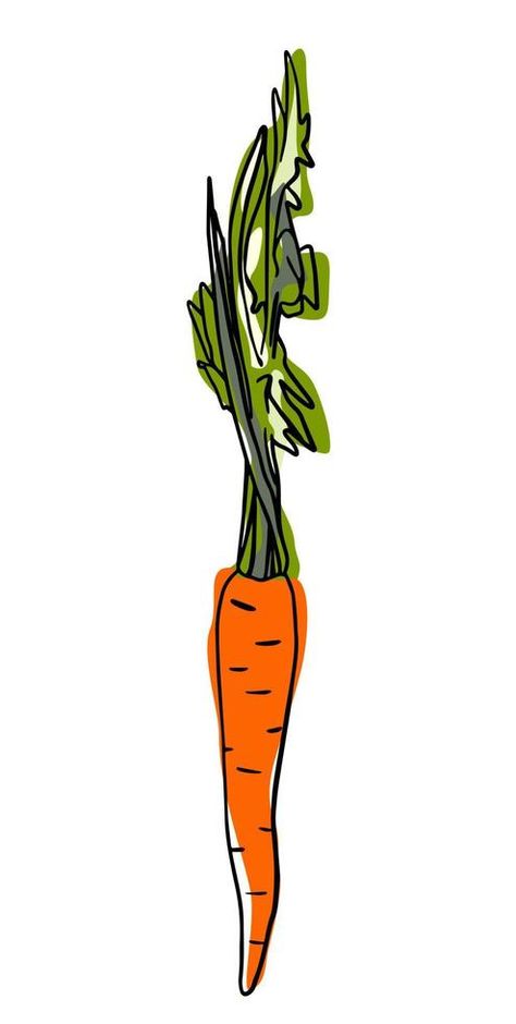 Vector hand-drawn doodle sketch carrot. For print, wallpaper, packaging paper design, textiles, notebooks, notepads, tableware and other things. Plant Simple Drawing, Carrot Doodle, Carrot Plant, How To Plant Carrots, Vector Frame, Packaging Paper, Doodle Sketch, Vector Hand, Print Wallpaper