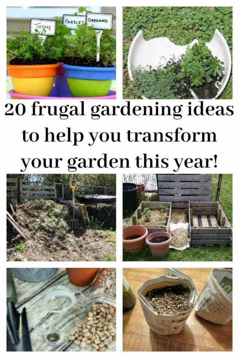 Project Garden – 20 ideas to inspire your frugal garden makeover Frugal Gardening, Frugal Family, Budget Garden, Garden Makeover, Easy Garden, Planting Herbs, Gardening For Beginners, Gardening Ideas, Urban Garden