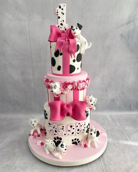 Dalmatian Cake, Biscoff Buttercream, Dalmatian Party, Barnyard Cake, Fondant Ruffles, Nurse Cookies, Cute Dalmatian, Buttercream Chocolate, Disney Party Ideas