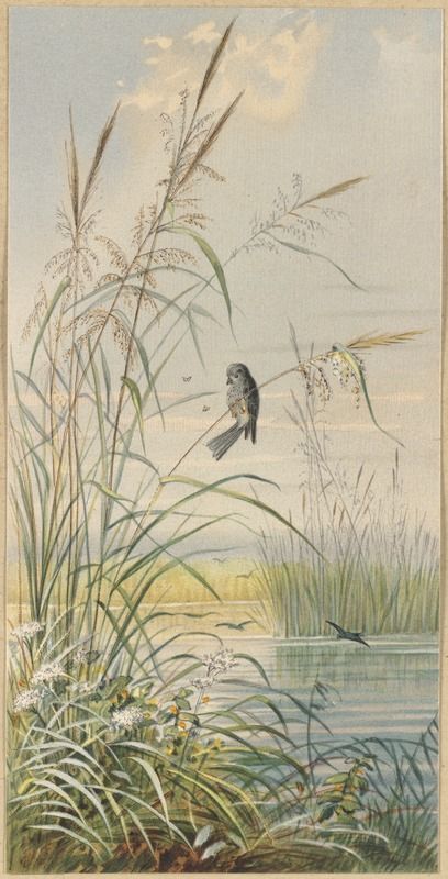 Among the Reeds Art Through The Ages, Boston Public Library, Fruit Art, Flower Art Painting, Arte Floral, Landscape Prints, Botanical Illustration, Public Library, Beautiful Artwork