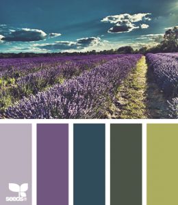 purple and green inspiration palette | Color Inspiration – Purple, Green and Teal Palette Design, Casa Country, Color Palate, Design Seeds, Colour Field, Lavender Fields, Color Stories, Colour Schemes, Color Swatches