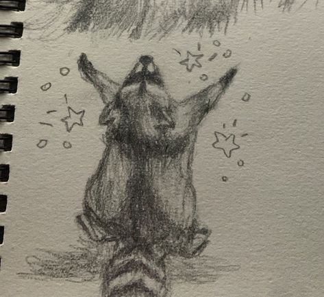 drawing of raccoon A Drawing, Sketch, Stars, Art