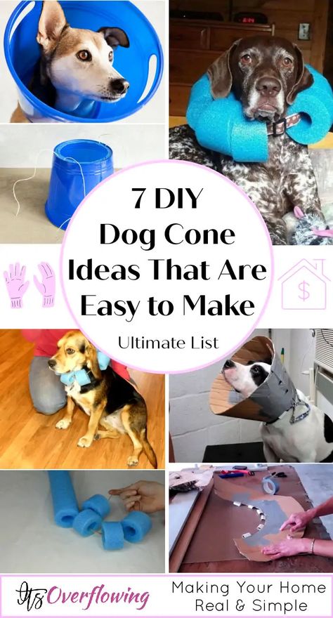 7 DIY Dog Cone Ideas That Are Easy to Make - How to Make a Dog Cone - pool noodle dog cone Pet Cone Alternative, Alternatives To Cones For Dogs, Diy Dog Cone How To Make, Diy E Collar For Dogs, Cone For Dogs Diy, Homemade Dog Collars, E Collar Alternative Dogs Diy, Diy Cat Cone Collar, How To Make A Dog Collar