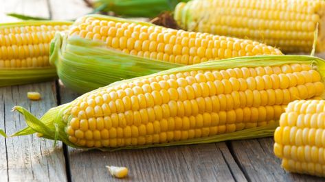 Mistakes you're making with your corn on the cob Corn Health Benefits, Garden Companion Planting, Boiled Corn, Vidalia Onions, Ears Of Corn, Street Corn, Healthy Benefits, Corn On The Cob, Sweet Corn