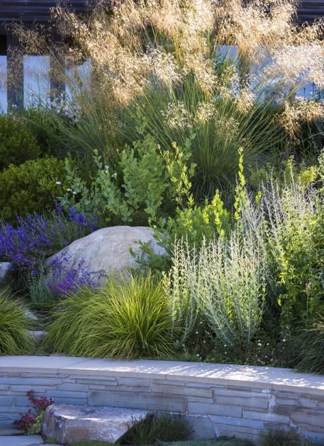 Sneak Peek: Garden Design Magazine's Wild Gardens - Gardenista House Garden Design, Gardening Tattoo, California Landscaping, Gardener Aesthetic, Vertical Garden Plants, Wallpaper Garden, Garden Nails, Gardening Aesthetic, Greenery Wall