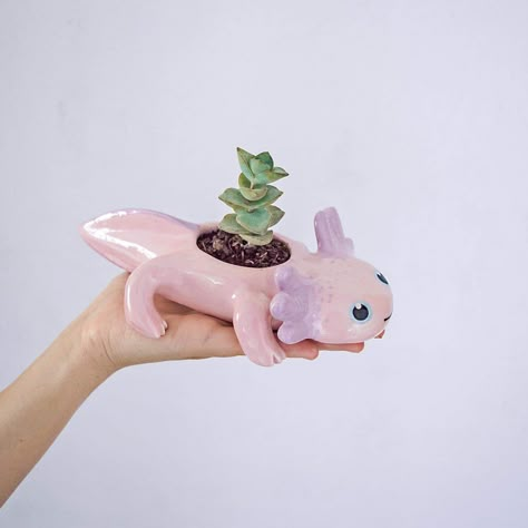 Axolotl Ceramic, Axolotl Clay, Clay Axolotl, Tanah Liat, Clay Diy Projects, Diy Pottery, Cute Clay, Ceramics Projects, Clay Art Projects