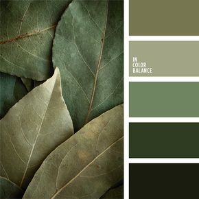 Inspiration For Design, In Color Balance, Green Walls Living Room, Color Inspiration Boards, Military Color, Modern Office Interiors, House Color Palettes, Earthy Color Palette, Bathroom Color