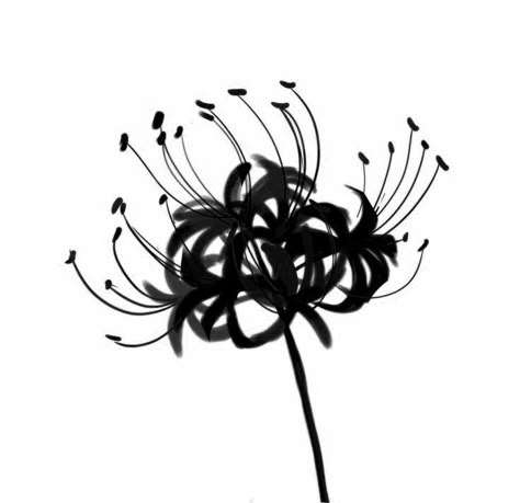 Tokyo Ghoul Widget, Black Spider Lily, Black Paper Flowers, Tokyo Ghoul Flower, Tokyo Ghoul Drawing, Lilies Drawing, Spider Lily, Rosé Png, Graffiti Style Art