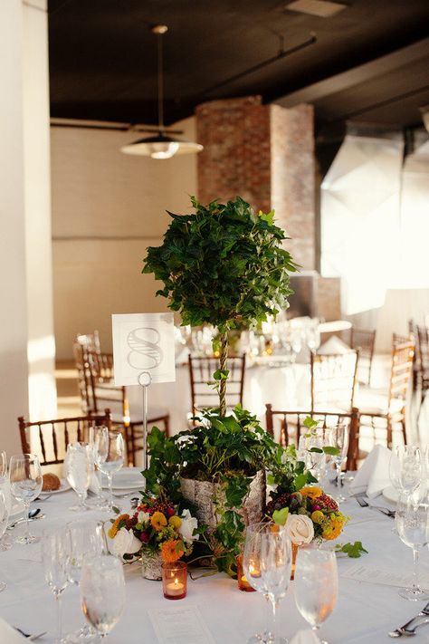 #topiary, #centerpiece  Photography: Robert & Kathleen Photographers - robertandkathleen.com Floral Design: Elan Flowers - elanflowers.com Wedding Day Coordination: La Vie en Rose Events - lvrevents.com  Read More: http://stylemepretty.com/2012/09/26/liberty-warehouse-wedding-from-robert-kathleen-photographers/ Topiary Wedding, Urban Gardening Ideas, Topiary Centerpieces, Tree Centerpieces, Warehouse Wedding, Topiary Trees, Urban Gardening, Topiaries, Wedding Tablescapes