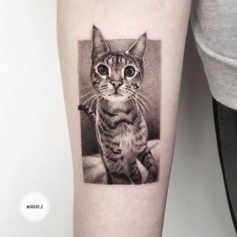 Cat Portrait Tattoos, Summer Tattoo, Cat Tat, Cat Obsession, Cat Tattoos, Cat Tattoo Designs, Line Tattoos, Cat Portraits, Animal Tattoos