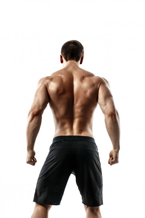 Back view of unrecognizable man, strong ... | Premium Photo #Freepik #photo #background #hand #man #sports Mens Back Muscles Aesthetic, Muscular Man Back Reference, Strong Back Reference, Muscular Back Male Reference, Reference Back Pose, Man Back View Drawing, Man Back Pose Reference, Muscle Back Reference, Muscle Back Men