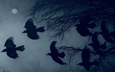 Crow Wallpaper Pc, Crow Widget, Macbook Theme, Hades And Persephone Aesthetic, Ravens Aesthetic, Hollow Heathens, Crow Story, Bone Island, Crows Flying