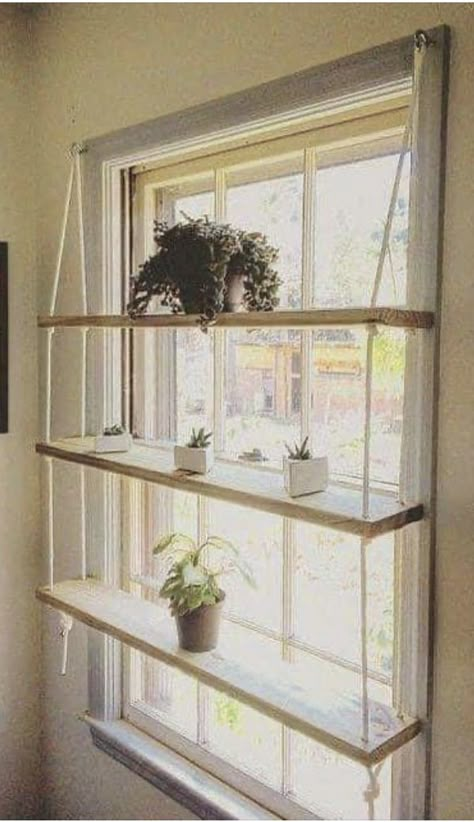 Home Decor Ideas Apartment, Wall Plants Indoor, Window Shelf For Plants, Window Plant Shelf, Wall Plants, Window Shelf, Indoor Plant Wall, Window Plants, Window Shelves