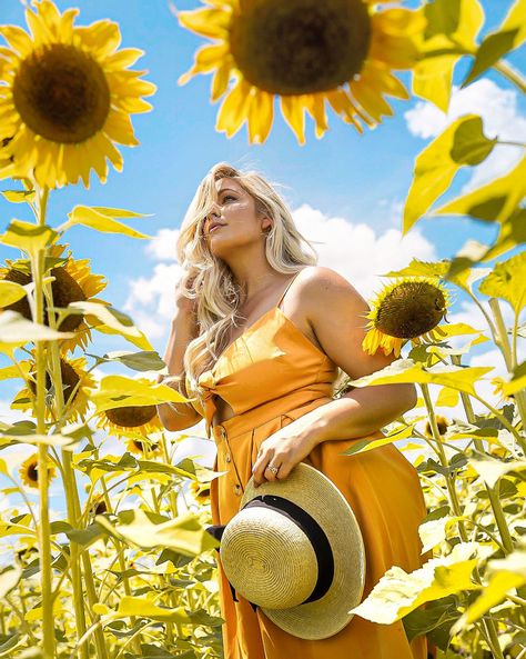 Sunflower Field Photography, Sunflower Field Pictures, Sunflower Season, Rauch Fotografie, Sunflower Patch, Sunflower Photography, Sunflower Photo, Sunflower Pictures, Flower Photoshoot