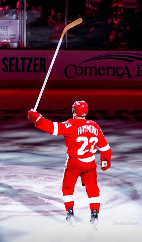 Lucas Raymond, Detroit Red Wings Hockey, Red Wings Hockey, Nhl Players, Ice Ice Baby, Detroit Red Wings, Red Wings, Ice Hockey, Nhl